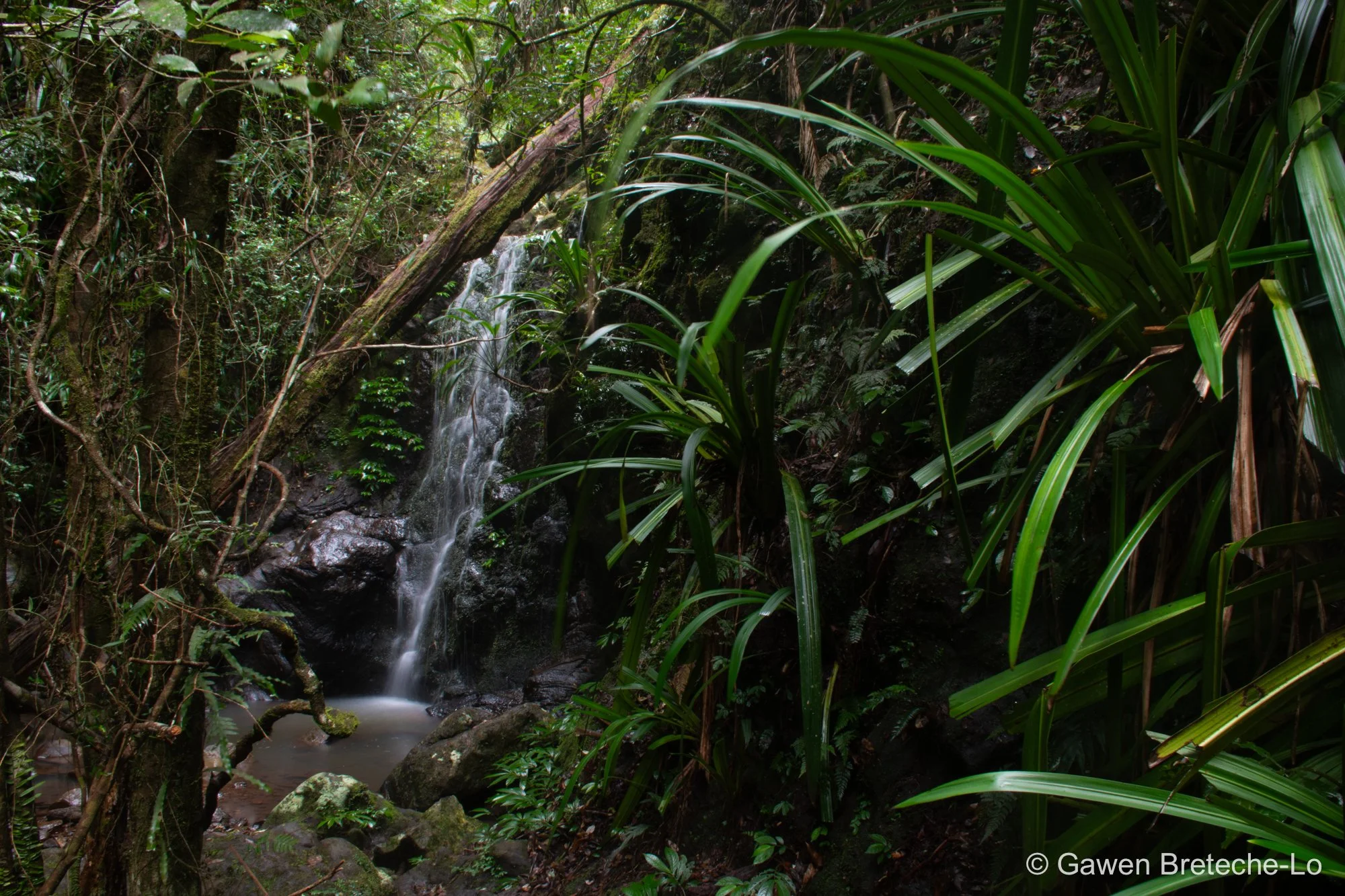 Lush waterfall ● Queensland, Australia 2018