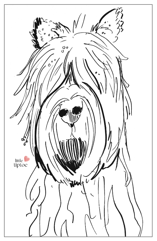 Screenshot 2568-10-09 at 22.13.30.png