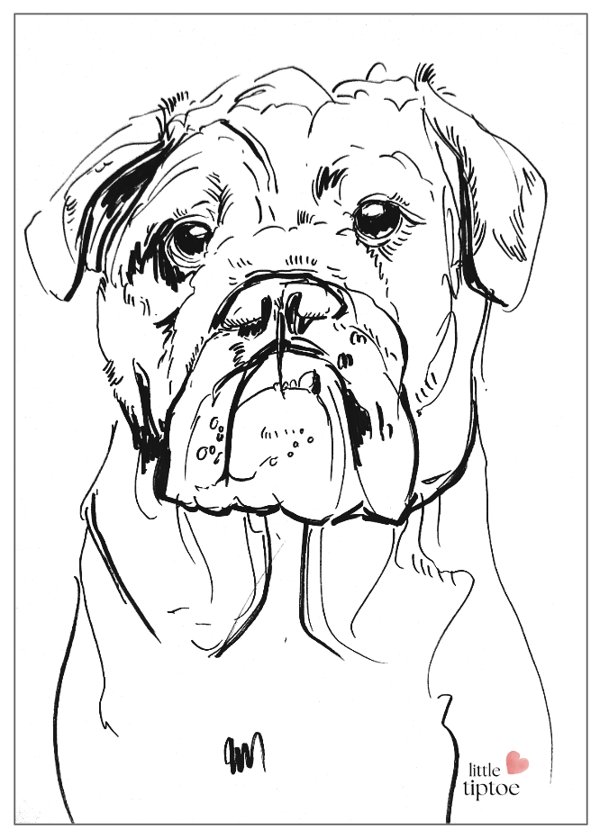 Screenshot 2568-10-09 at 22.14.41.png