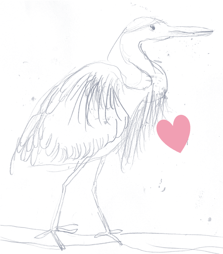 A pencil sketch of a heron with a pink heart near its body.