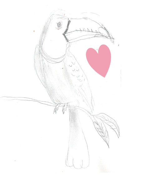 A pencil sketch of a toucan bird perched on a branch with a pink heart next to its beak.