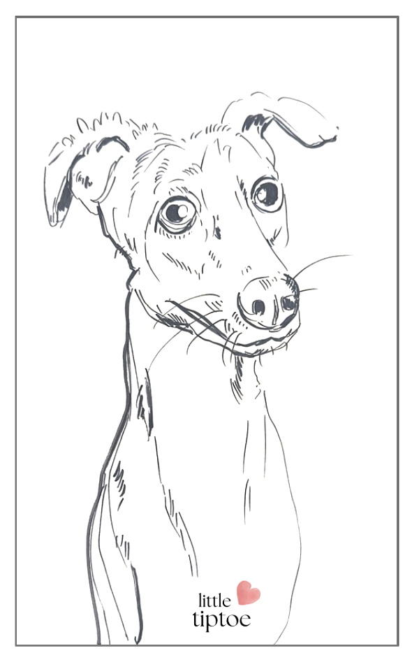 Screenshot 2568-10-09 at 22.11.03.png