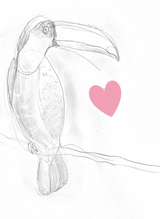 A pencil sketch of a toucan with a large beak, accompanied by a pink heart.