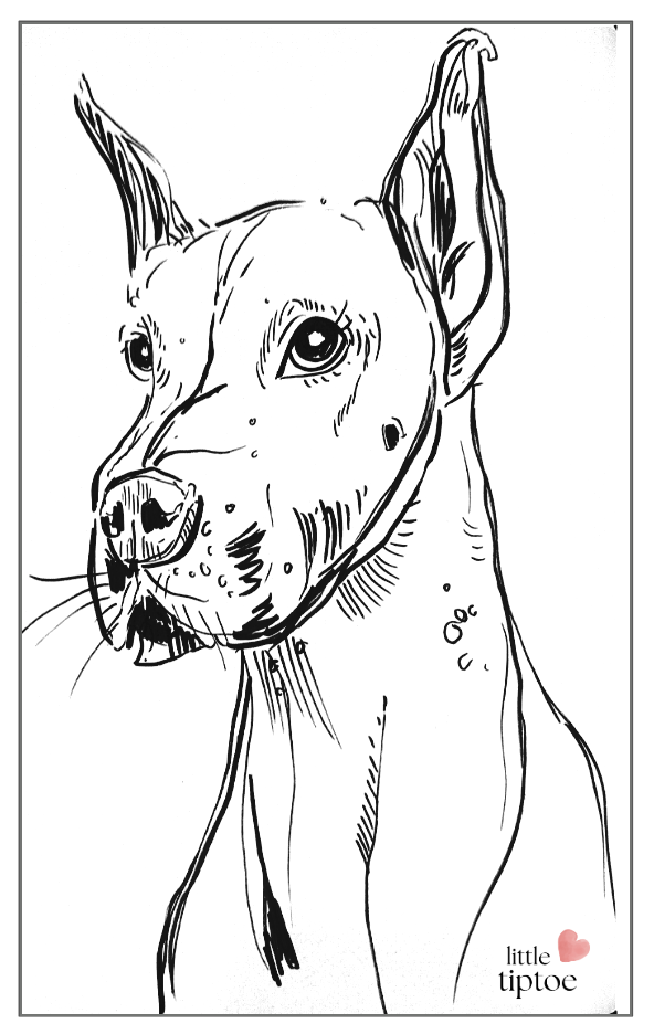 Screenshot 2568-10-09 at 22.14.05.png