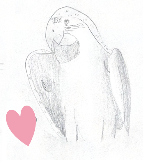 A pencil drawing of a bird with a long beak and large wings, accompanied by a pink heart in the bottom left corner.