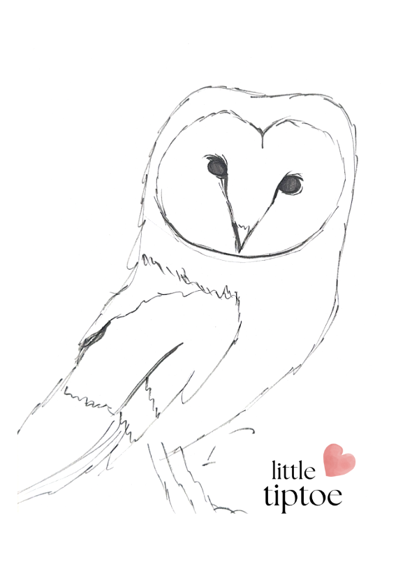 A simple black and white sketch of a barn owl with large eyes and a heart-shaped face, with the text "little tiptoe" and a pink heart.