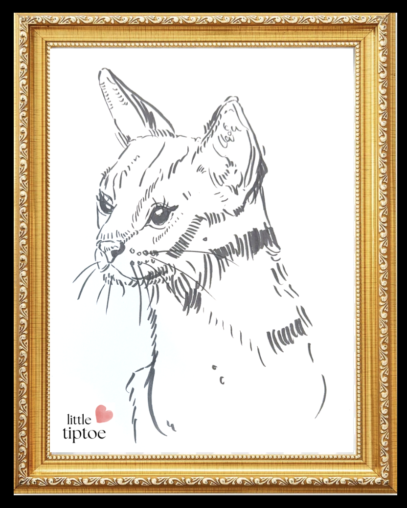 Screenshot 2568-10-09 at 21.33.55.png