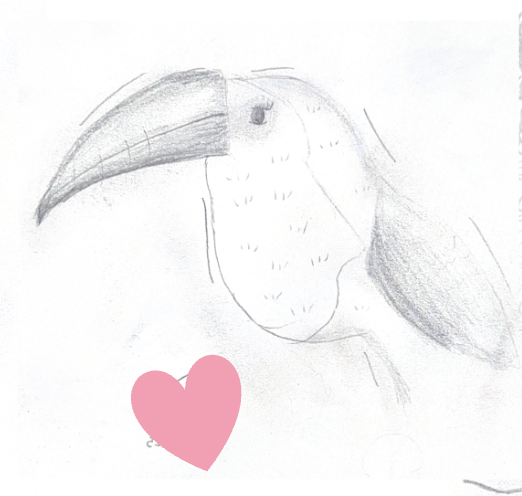 Hand-drawn sketch of a toucan bird with a large beak, a simple eye, some shading, and a pink heart below the bird.