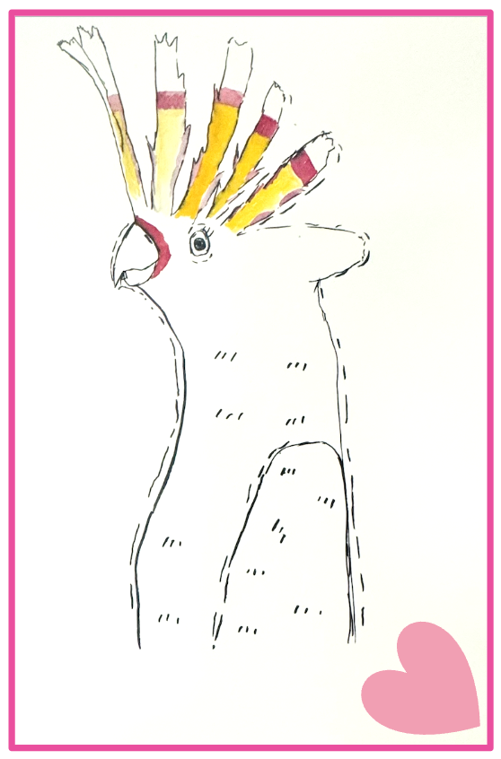 Hand-drawn illustration of a cockatoo with colorful pencils stuck in its crest, and a pink heart in the bottom right corner, framed with a pink border.