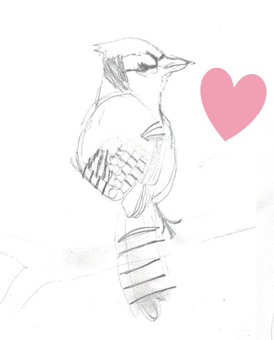 A pencil sketch of a bird with glasses, holding a small basket or container, next to a pink heart.