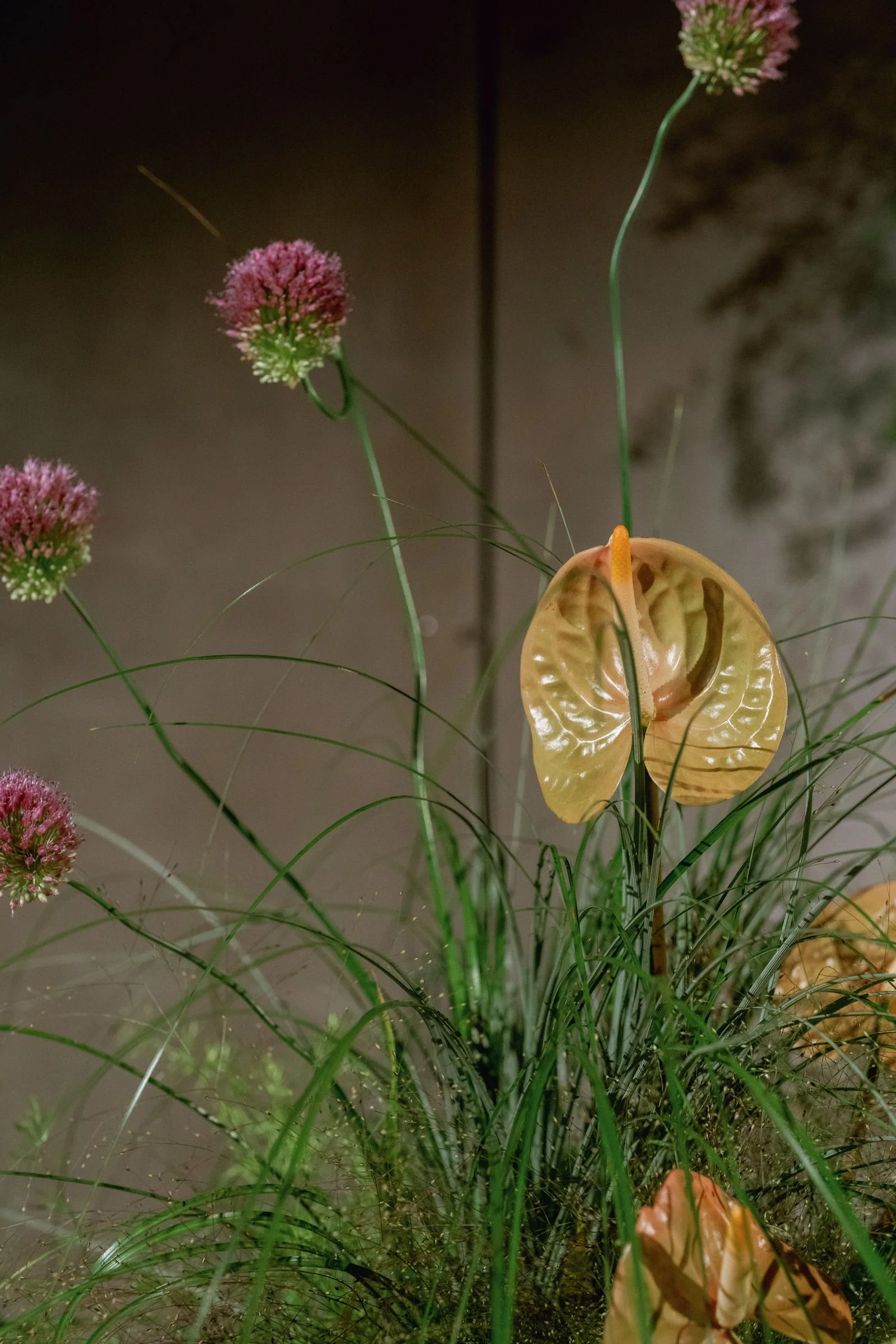 MariaHunter-StephGBishop-Sneak-071-01821.jpg