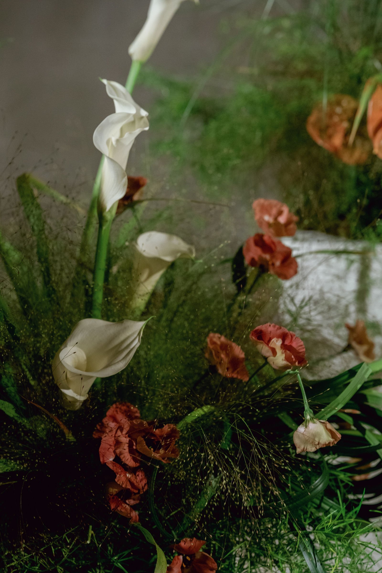 MariaHunter-StephGBishop-Sneak-072-01822.jpg