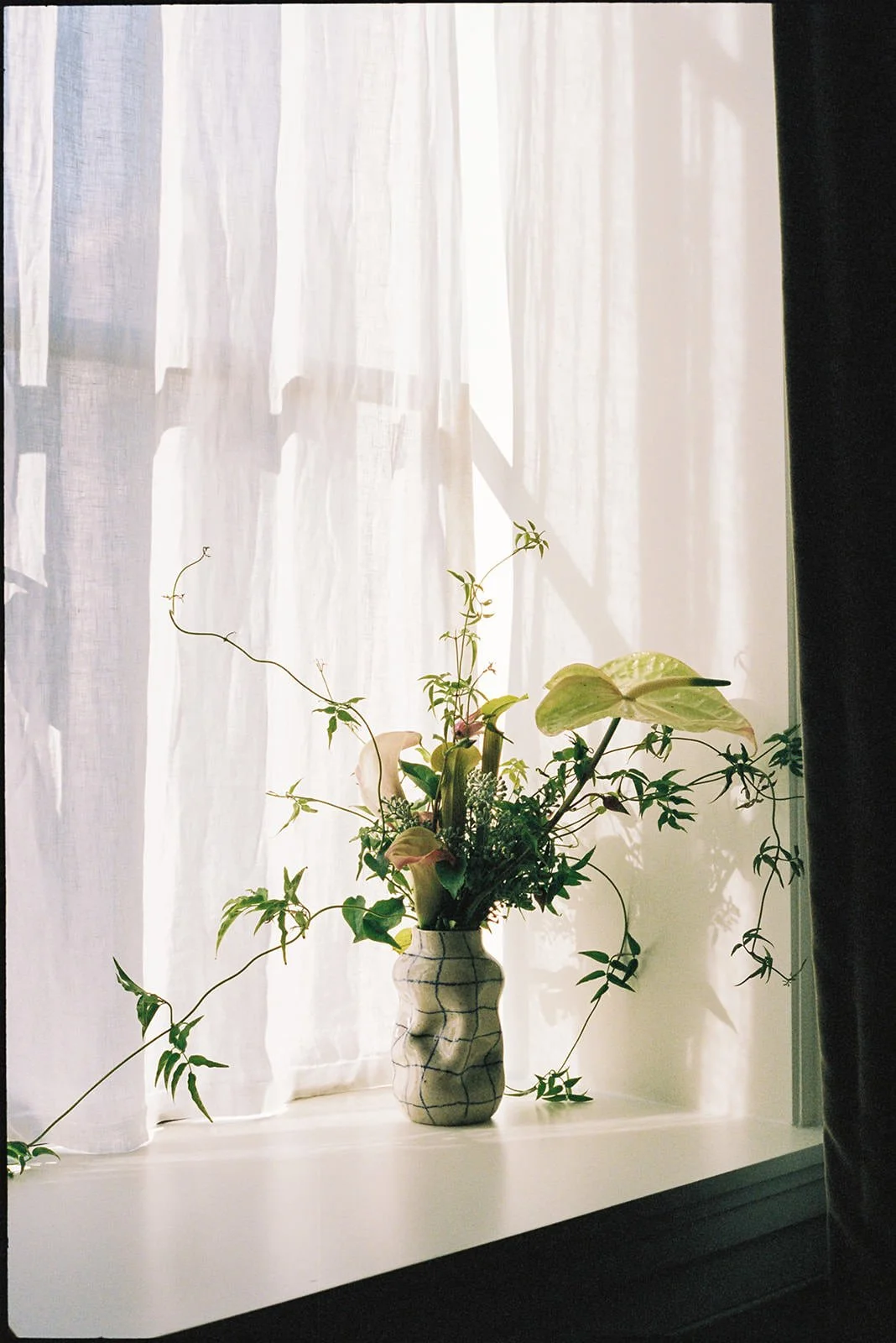 Copy of jtwfilm-038.jpg