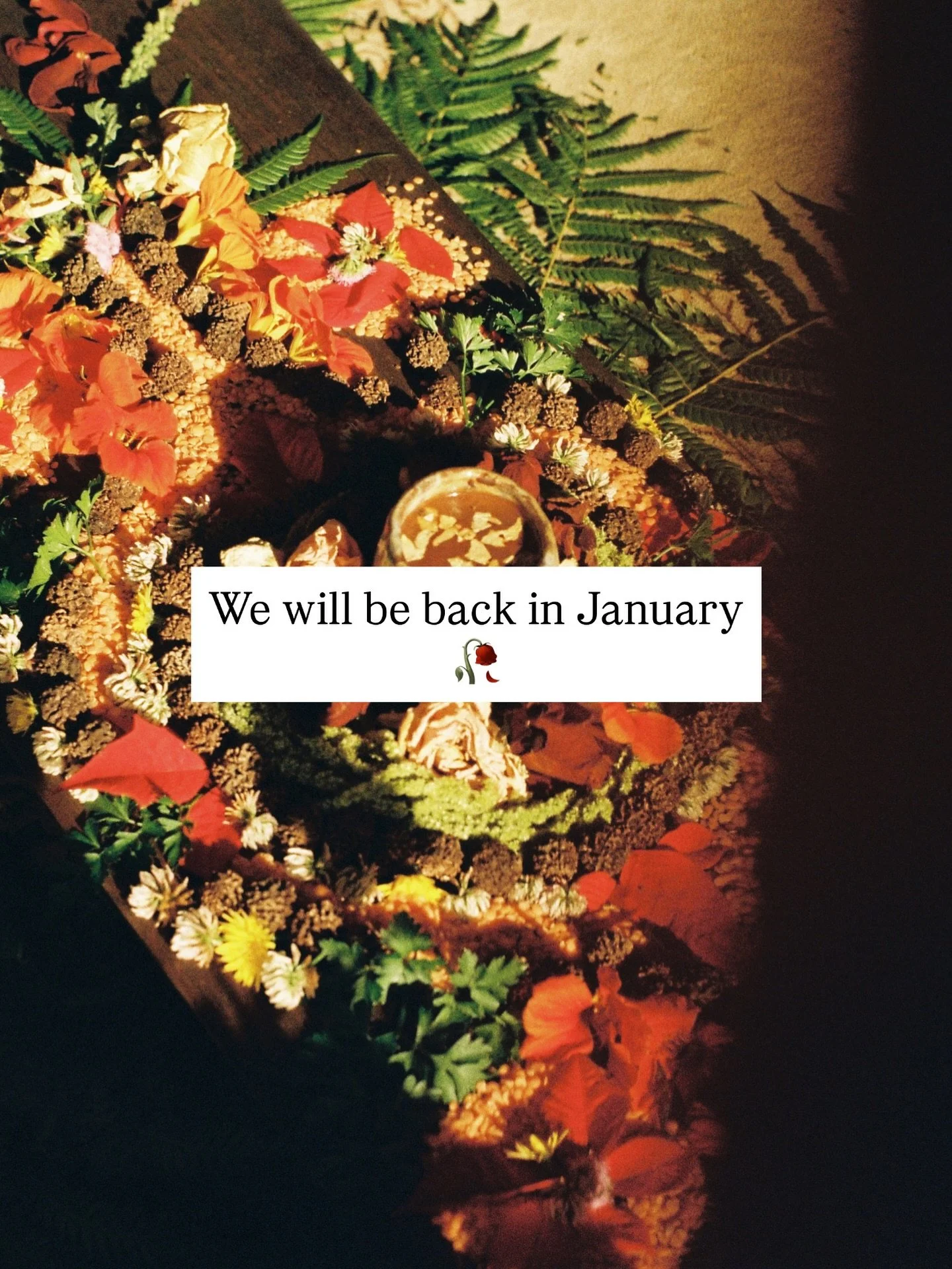 Thank you everyone for the most wonderful year, our first full year holding Mumma Cacao and it has been our deepest honour to serve and share this medicine with so many of you 🤎

We are taking 2-3 weeks off the online space to deeply rest, soak up t