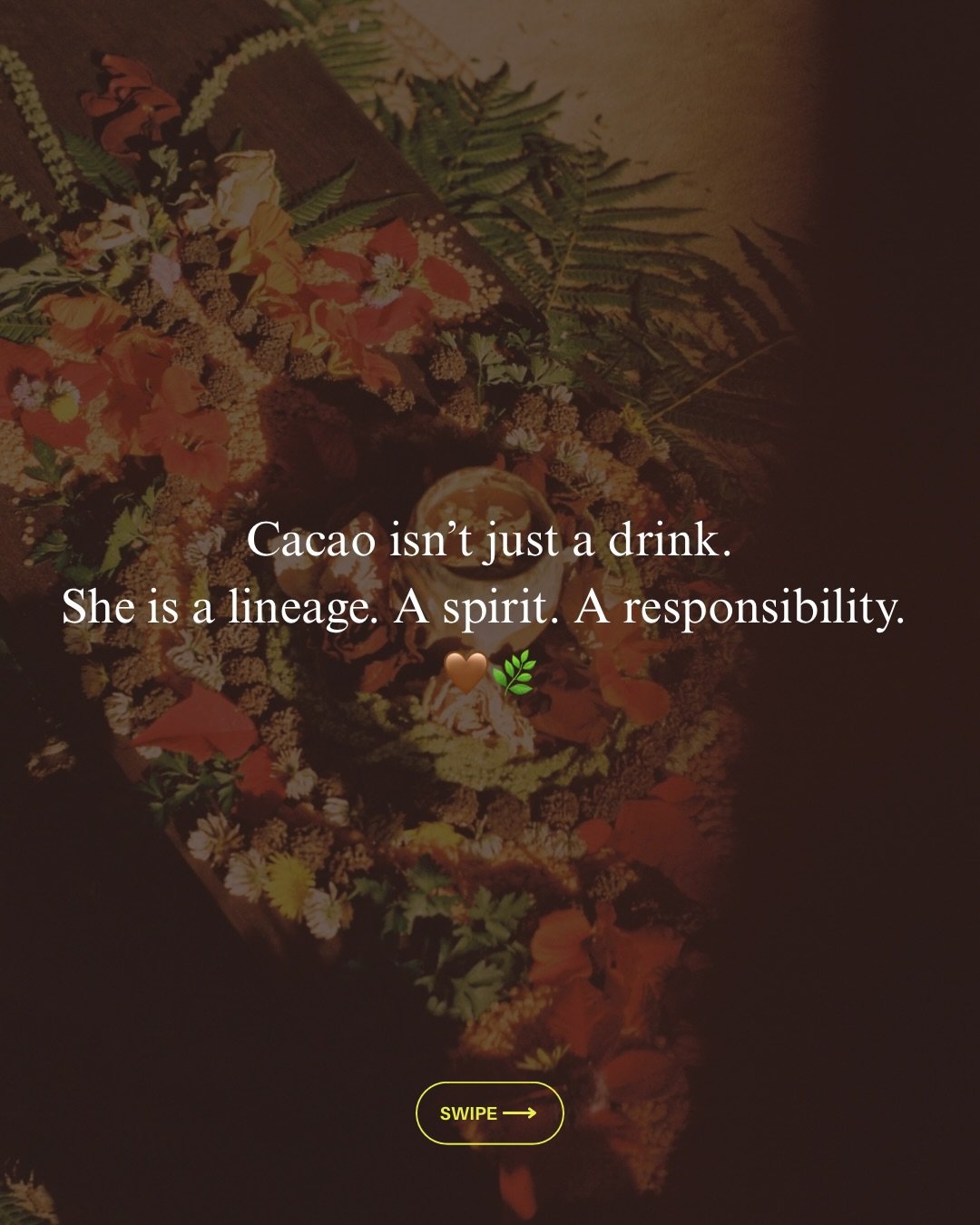 It is almost time to share with you where this journey has led us ✨🌀

Anyone have any ideas of where Cacao has led us? 
Xxx