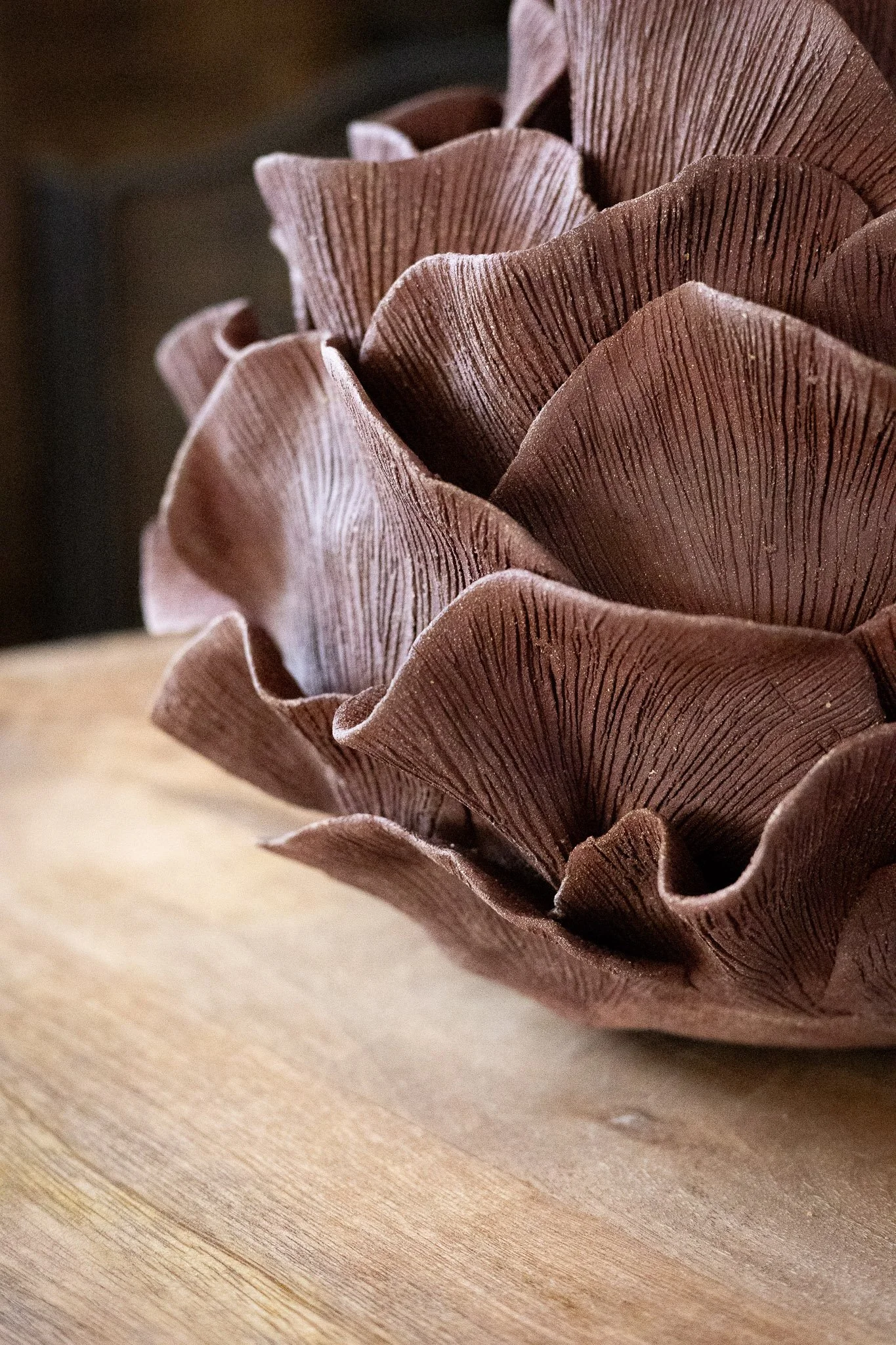 Shooting Elise Lefebvre-31.jpg