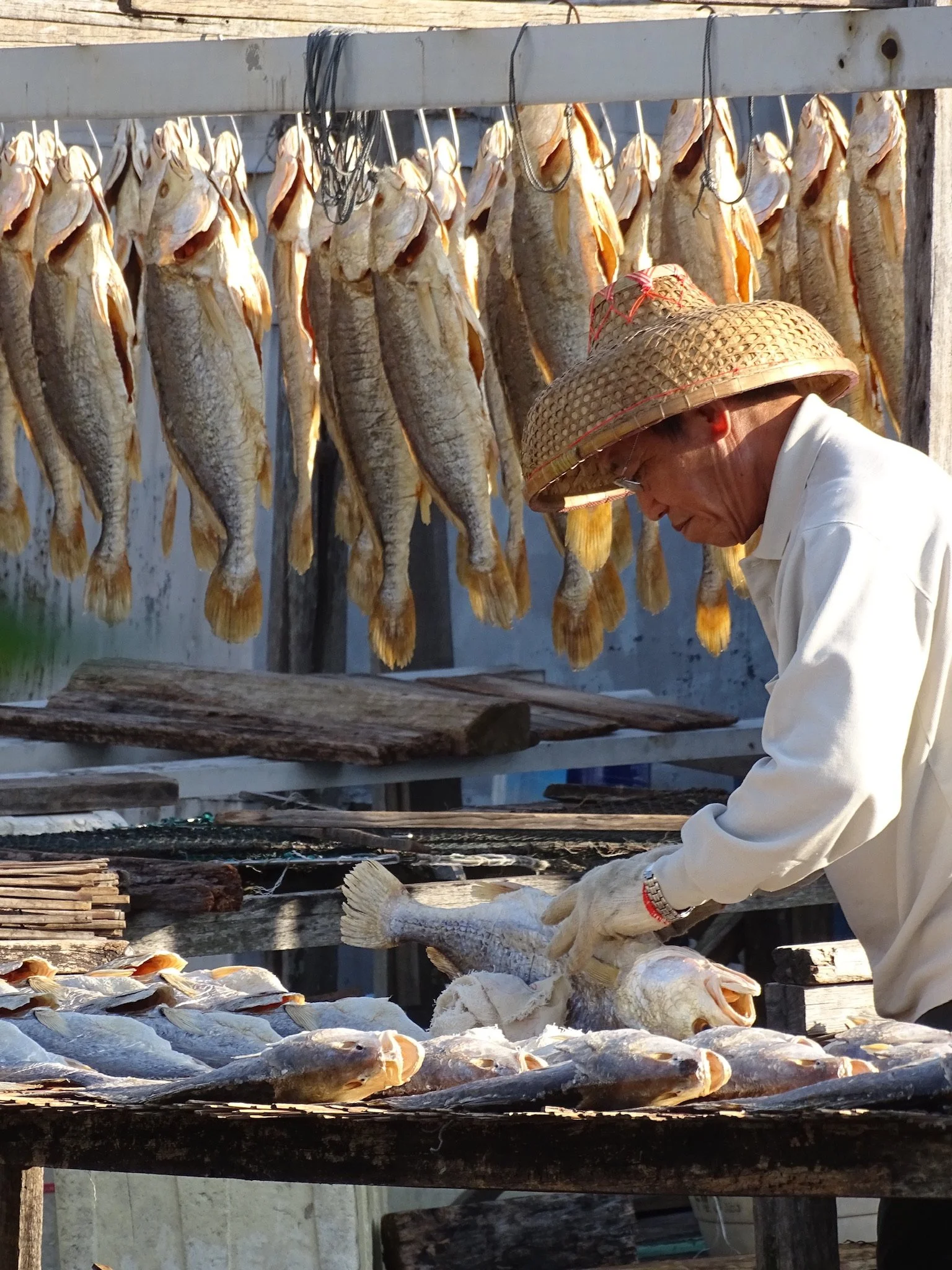 78AD1B1F-E9A8-4A73-B92F-639F42F55F0D - Leung Ronald.jpeg