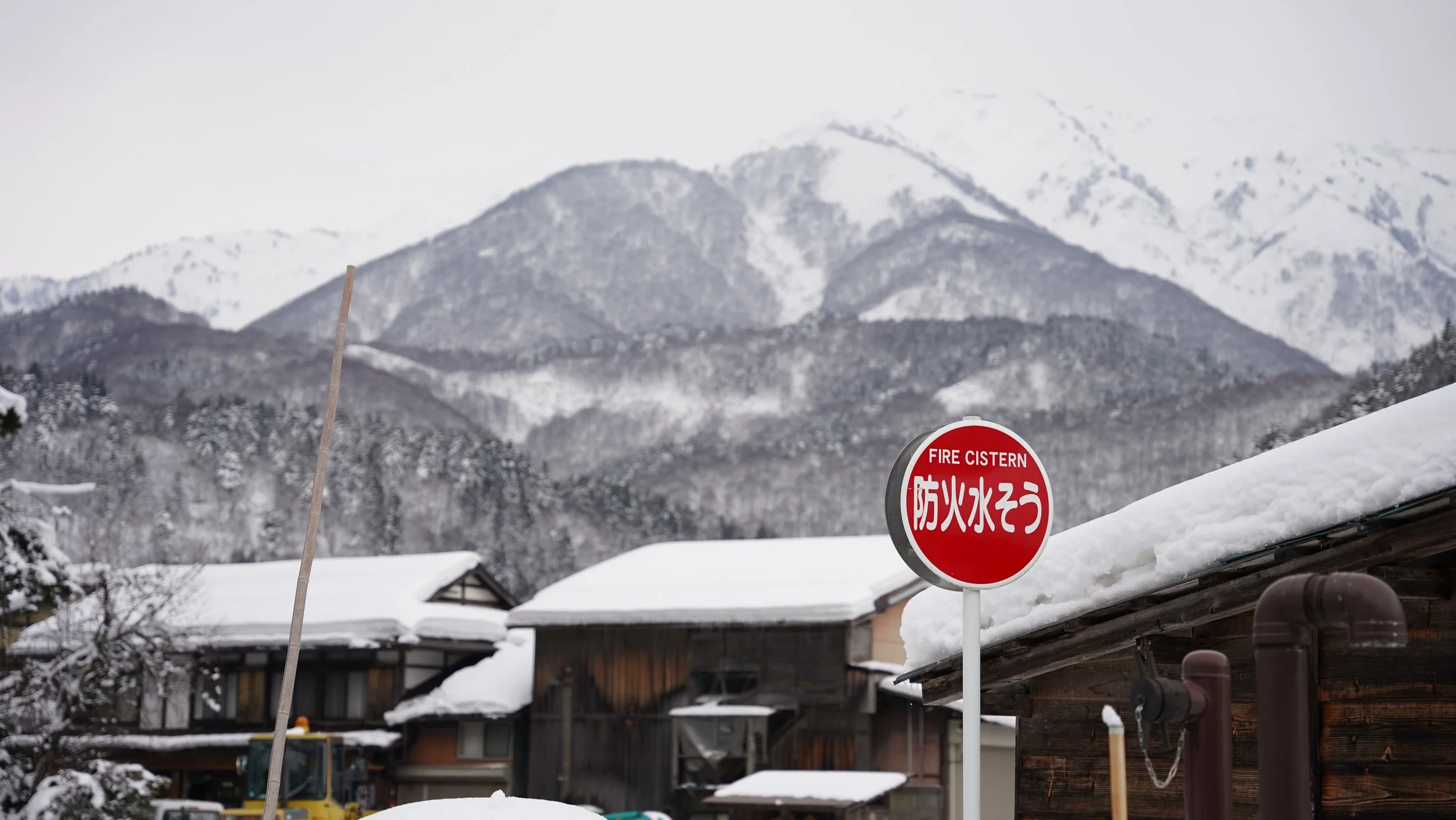 CCH09592 - Arthur.JPG