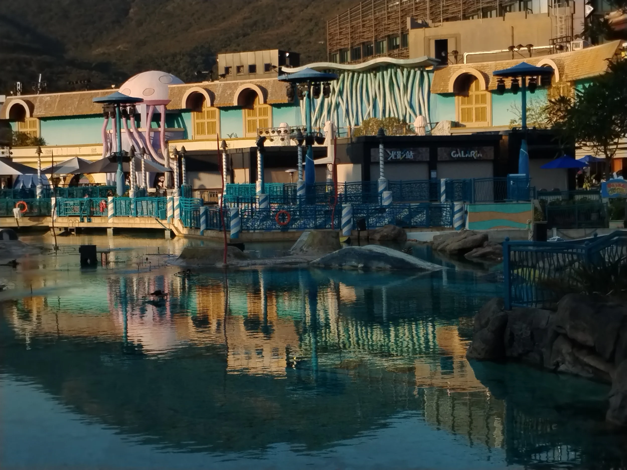 IMG_20260110_164822 - Yuenck david.jpg