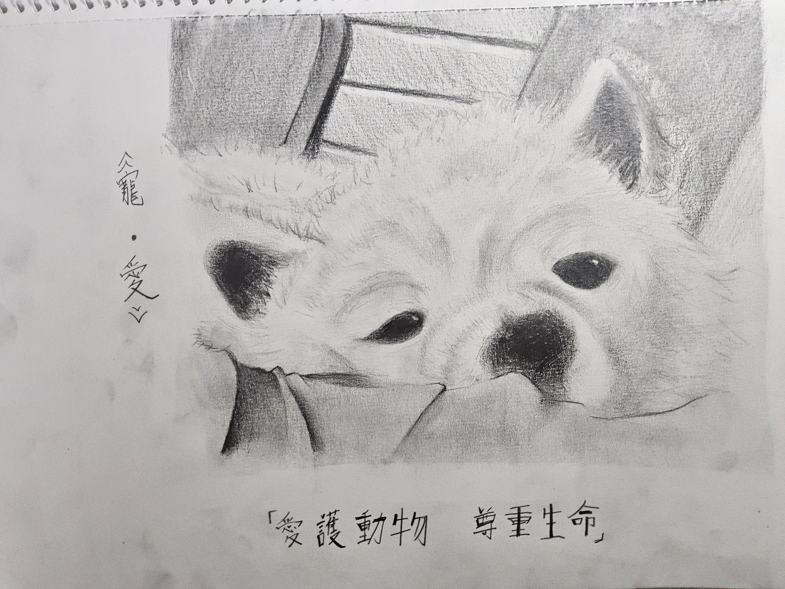 20260421_232428 - averylsi.jpg