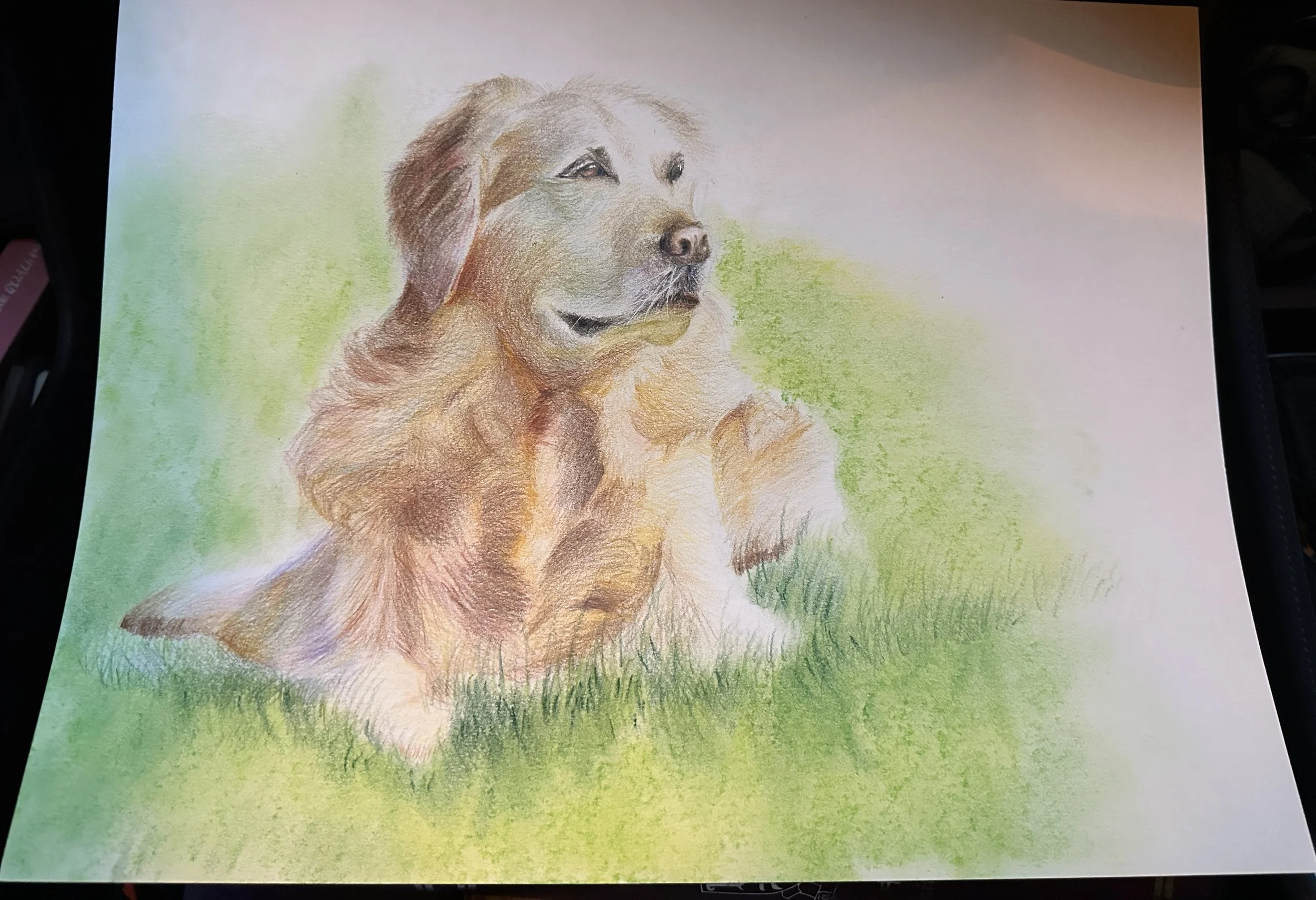 IMG_6737 - Pauline Lee.jpeg