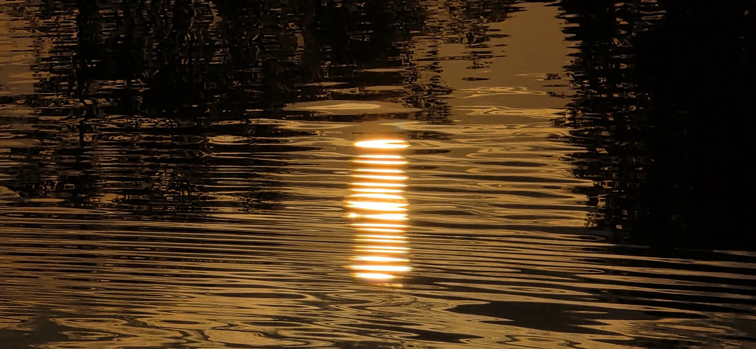 inbound3775017438279537393 - Tak Ping Fung.jpg