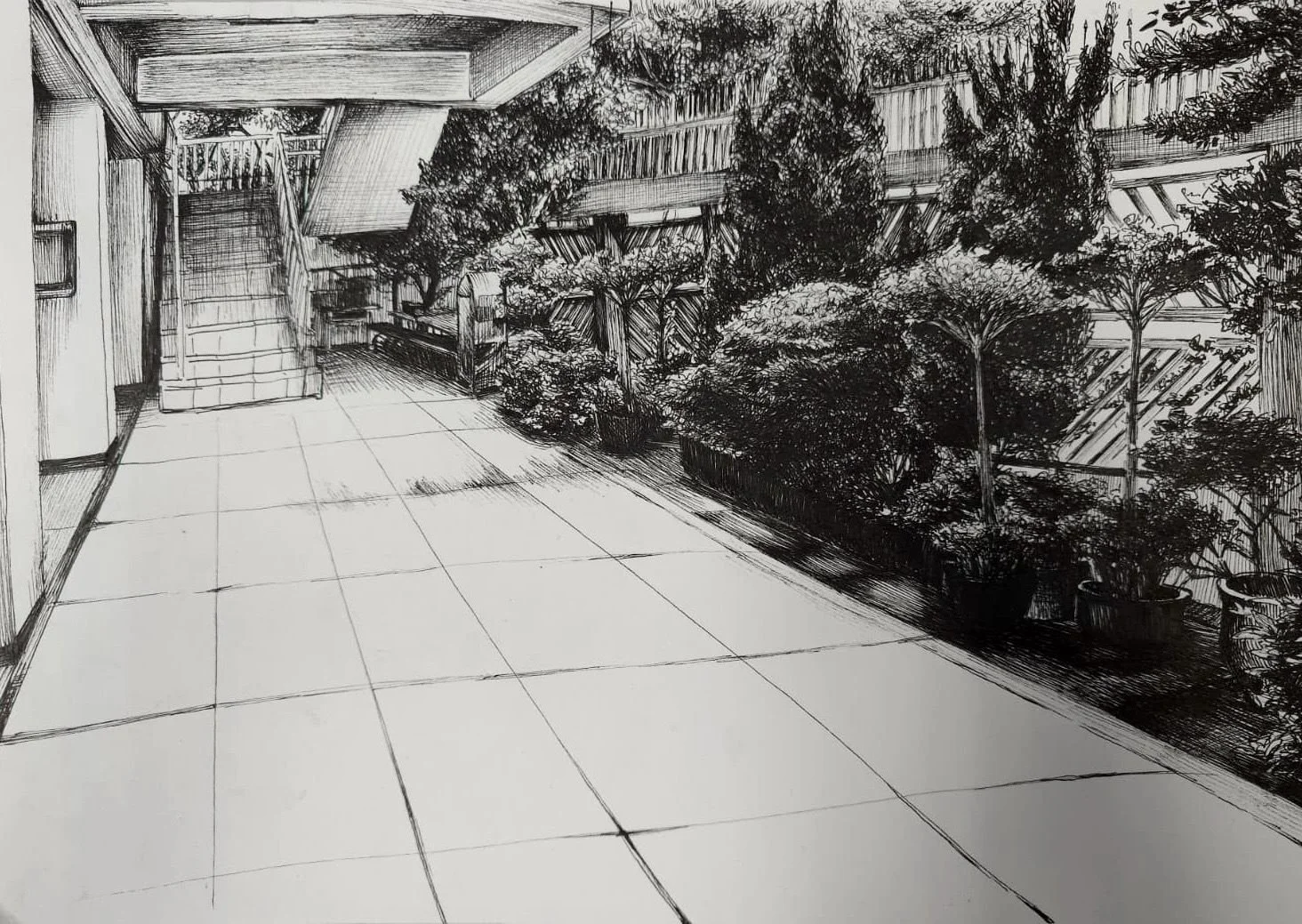 LEONG KA YI （2026國際素描藝術大賽） - Choi Fung Lam.jpeg