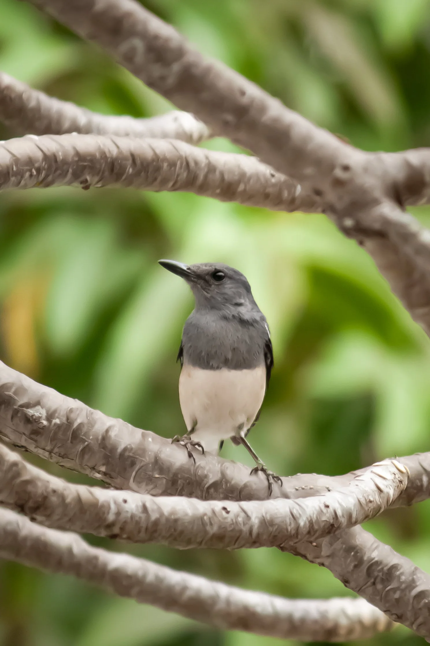 IMG_9191 - Lavelle Wong.jpg