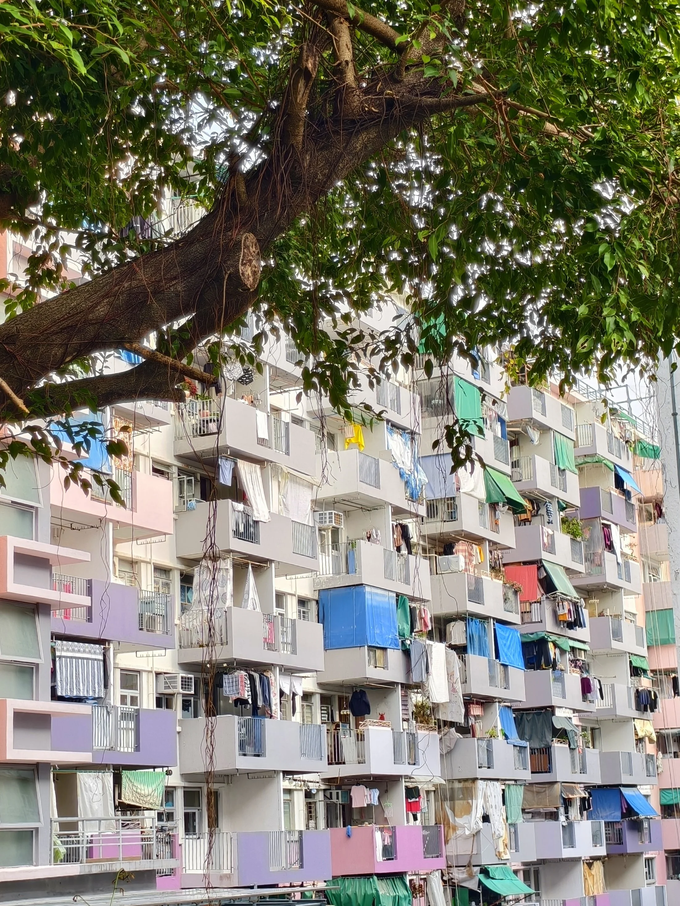 IMG_20260304_130420 - Au Brenda.jpg