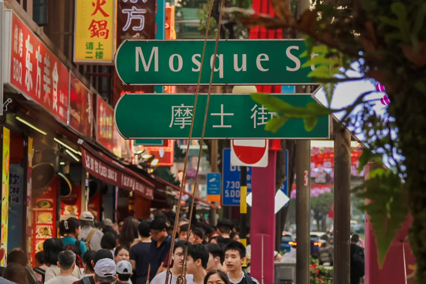 743A7148 - Bridge Zhao.jpeg