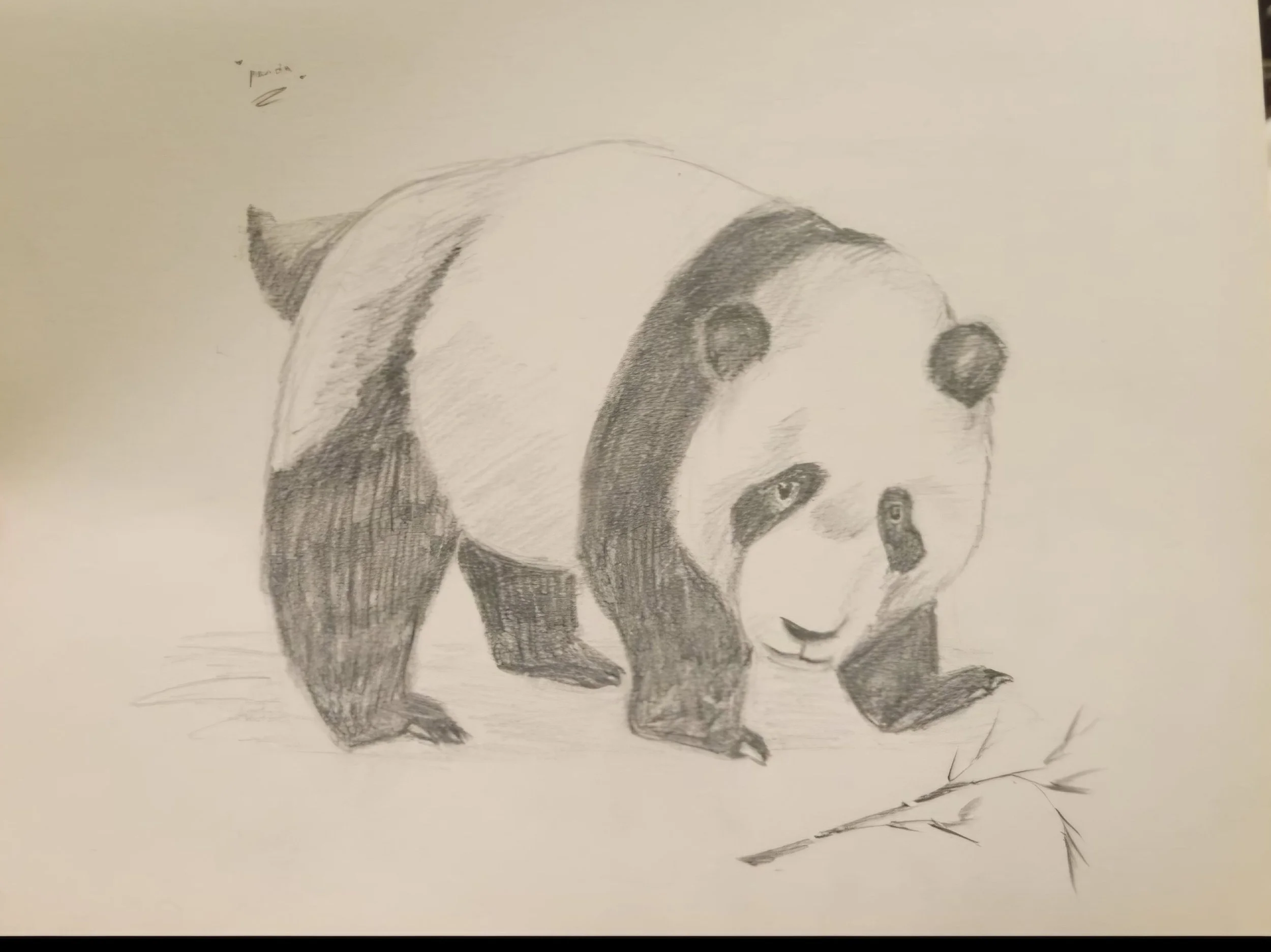 20241102_100103 - Berfa Siu.jpg