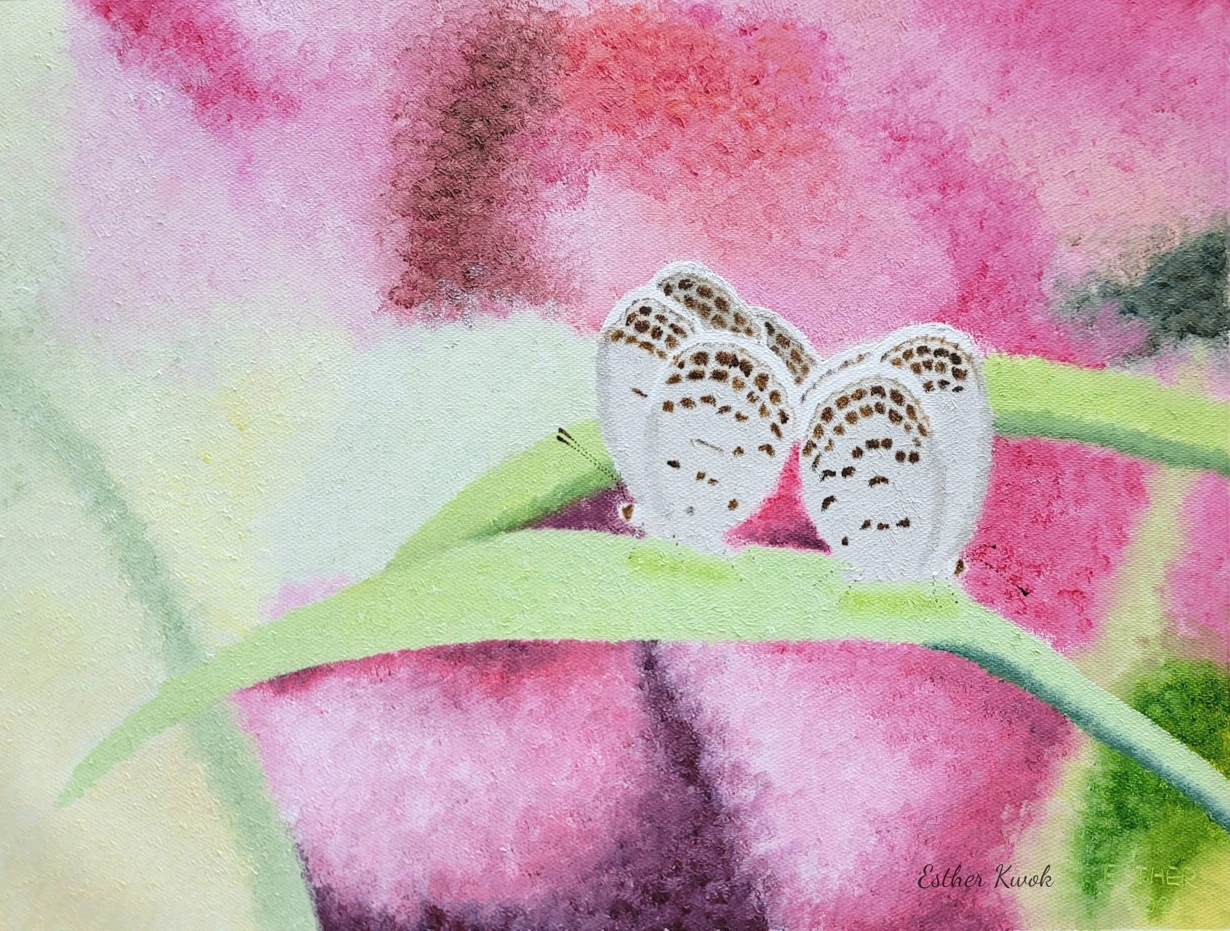 inbound4037594995045401241 - Esther Kwok.jpg