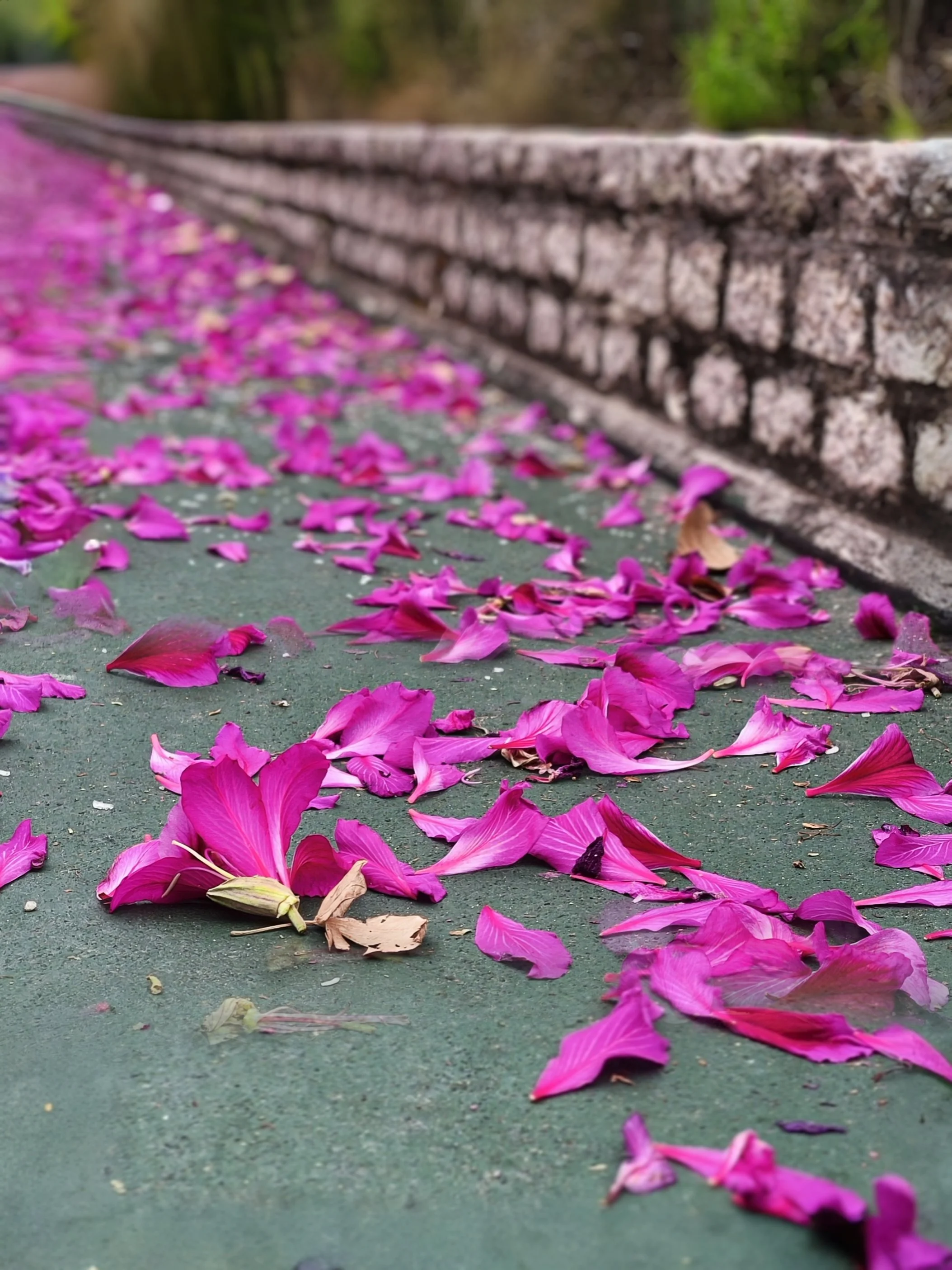 IMG_20251231_101848 - Lee Patrick.jpg