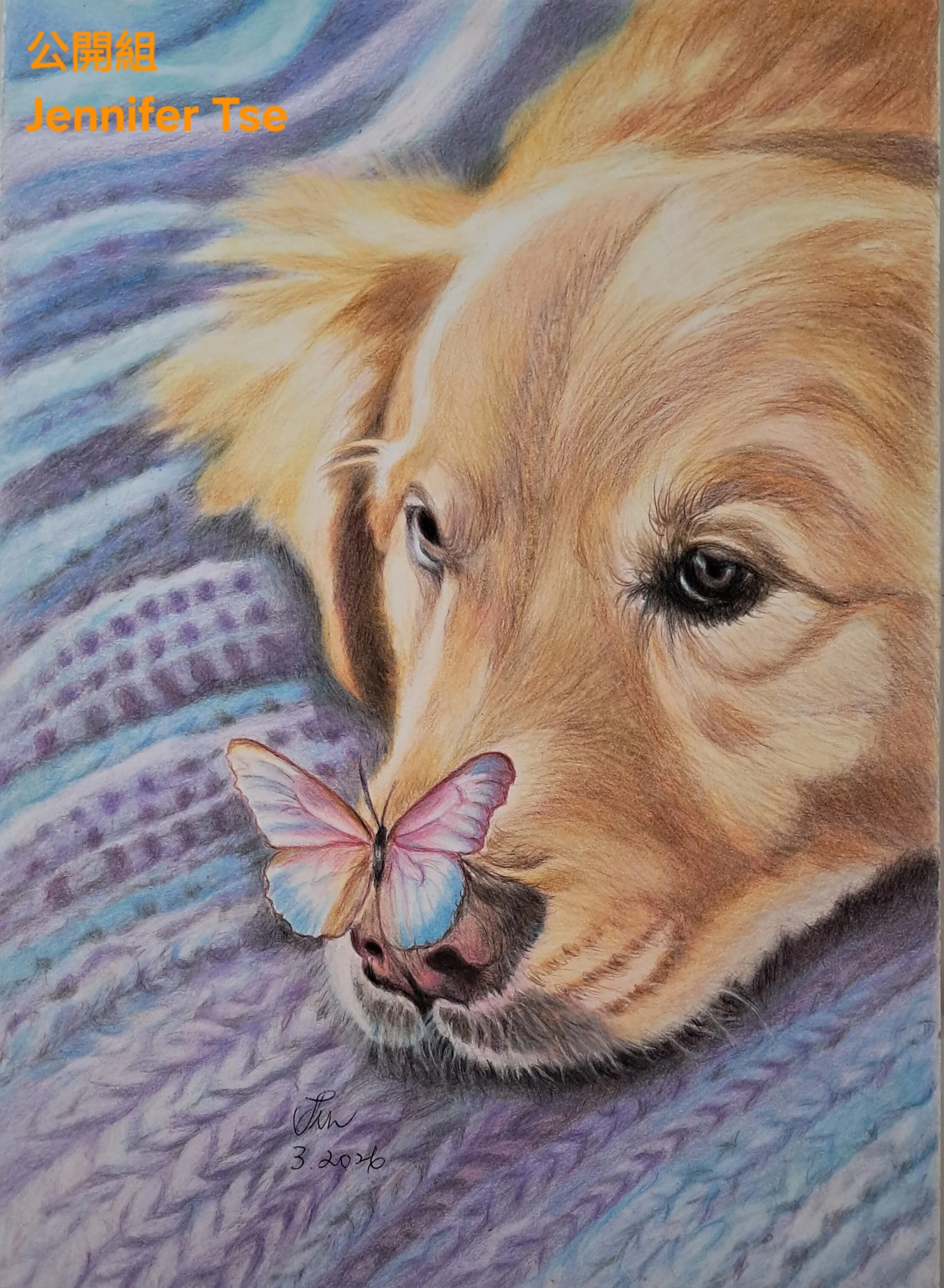 inbound8249740321371136097 - Jennifer Tse.jpg