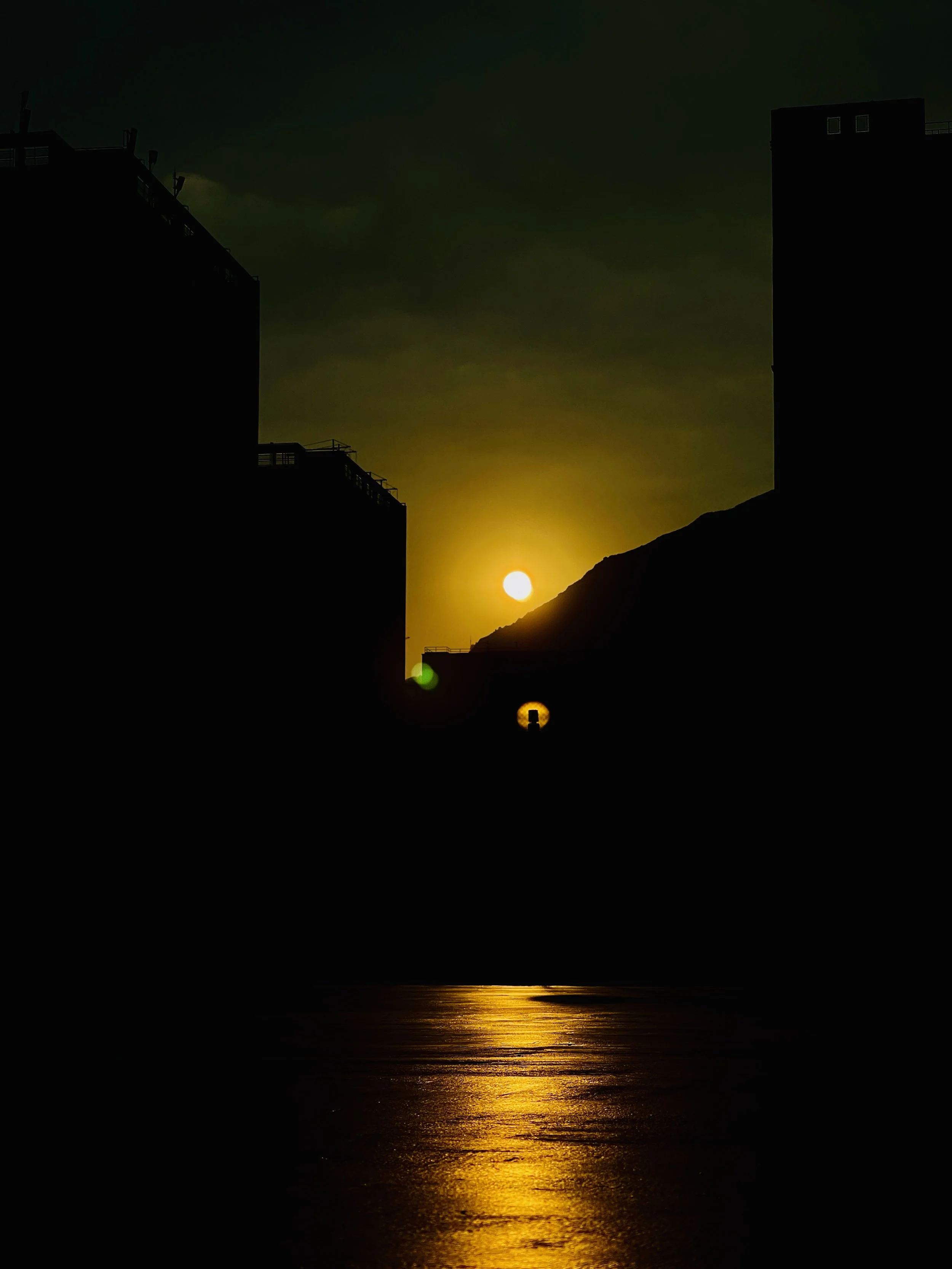 IMG_2667 - Purple chow.jpeg