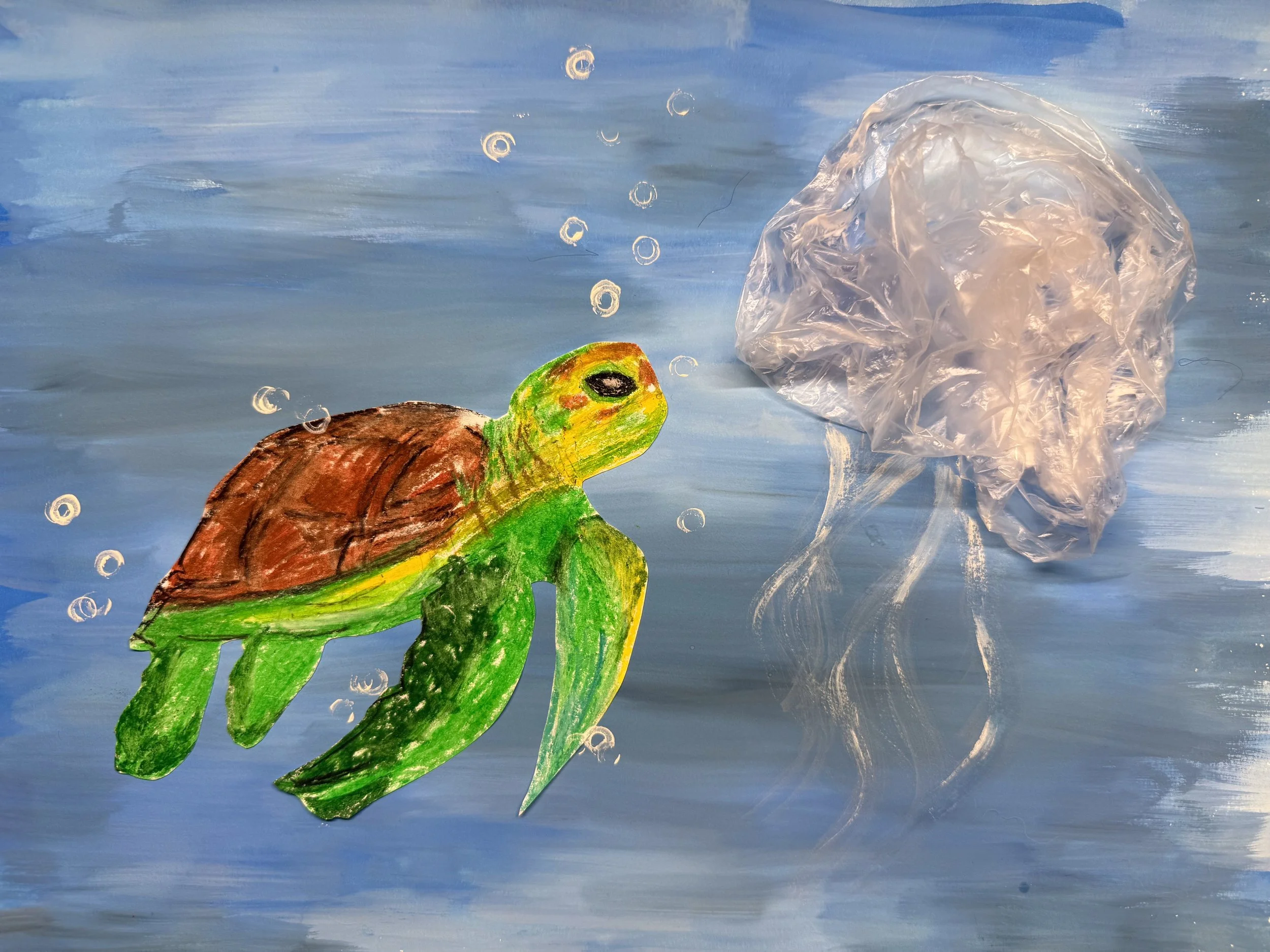 IMG_6825 - Kelly Kwok.jpeg