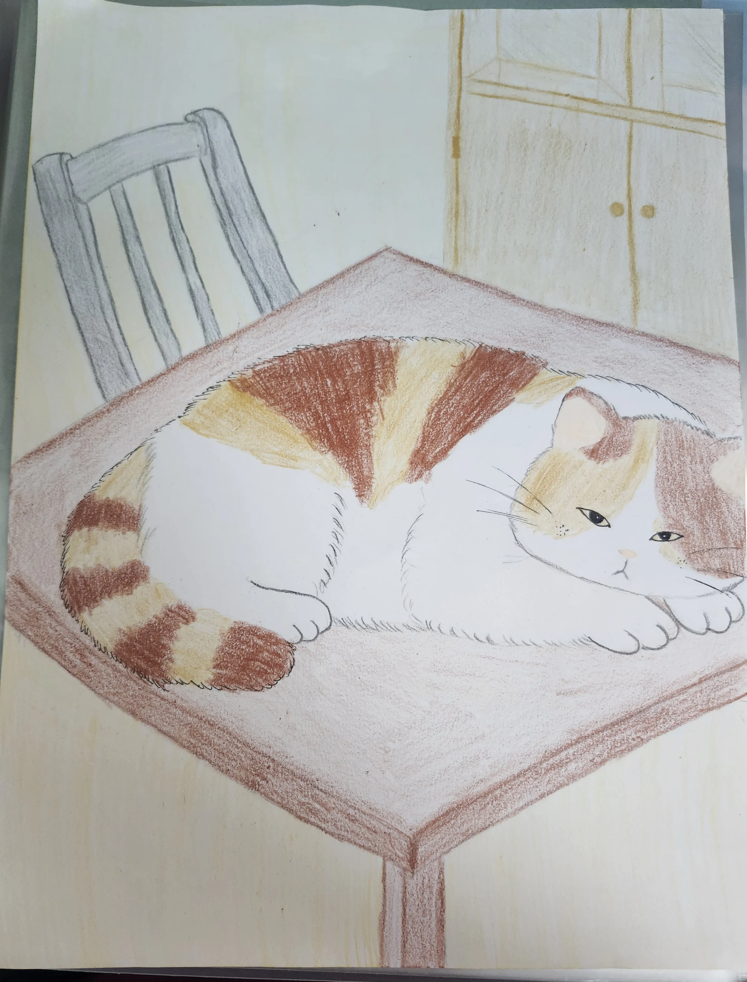 20260421_203117 - Yat sum yee Ho.jpg