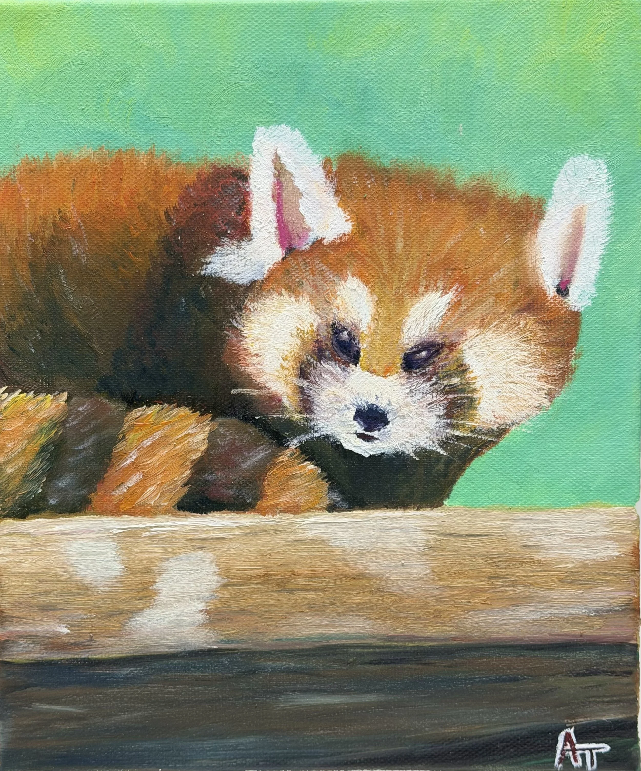 小熊貓 - 5Dartspace.jpg