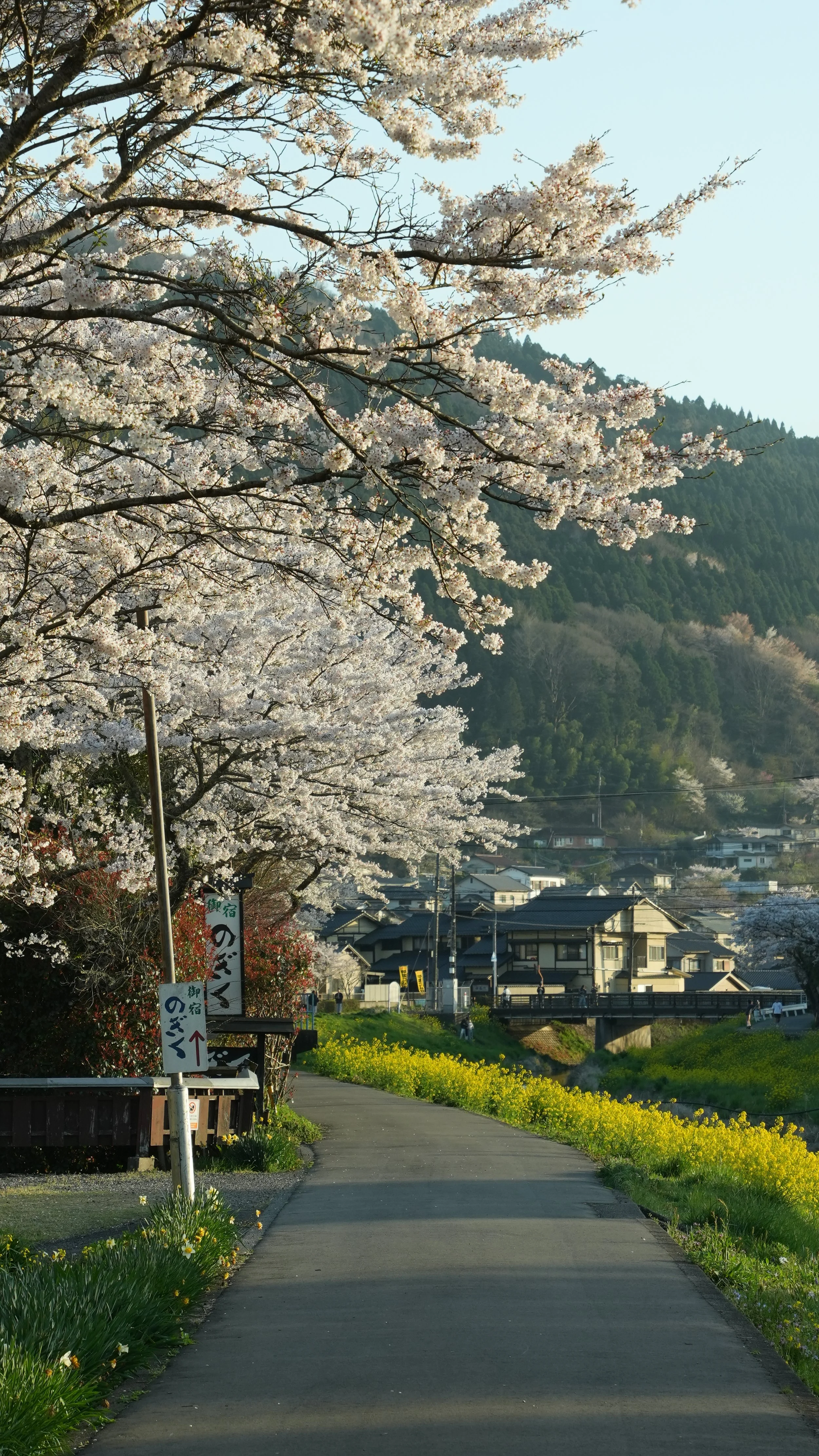DSC03731 - Lawrence Cheung.JPG