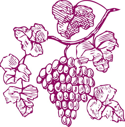 Chambre d'Hôtes Belleville en Beaujolais, Macon et Lyon