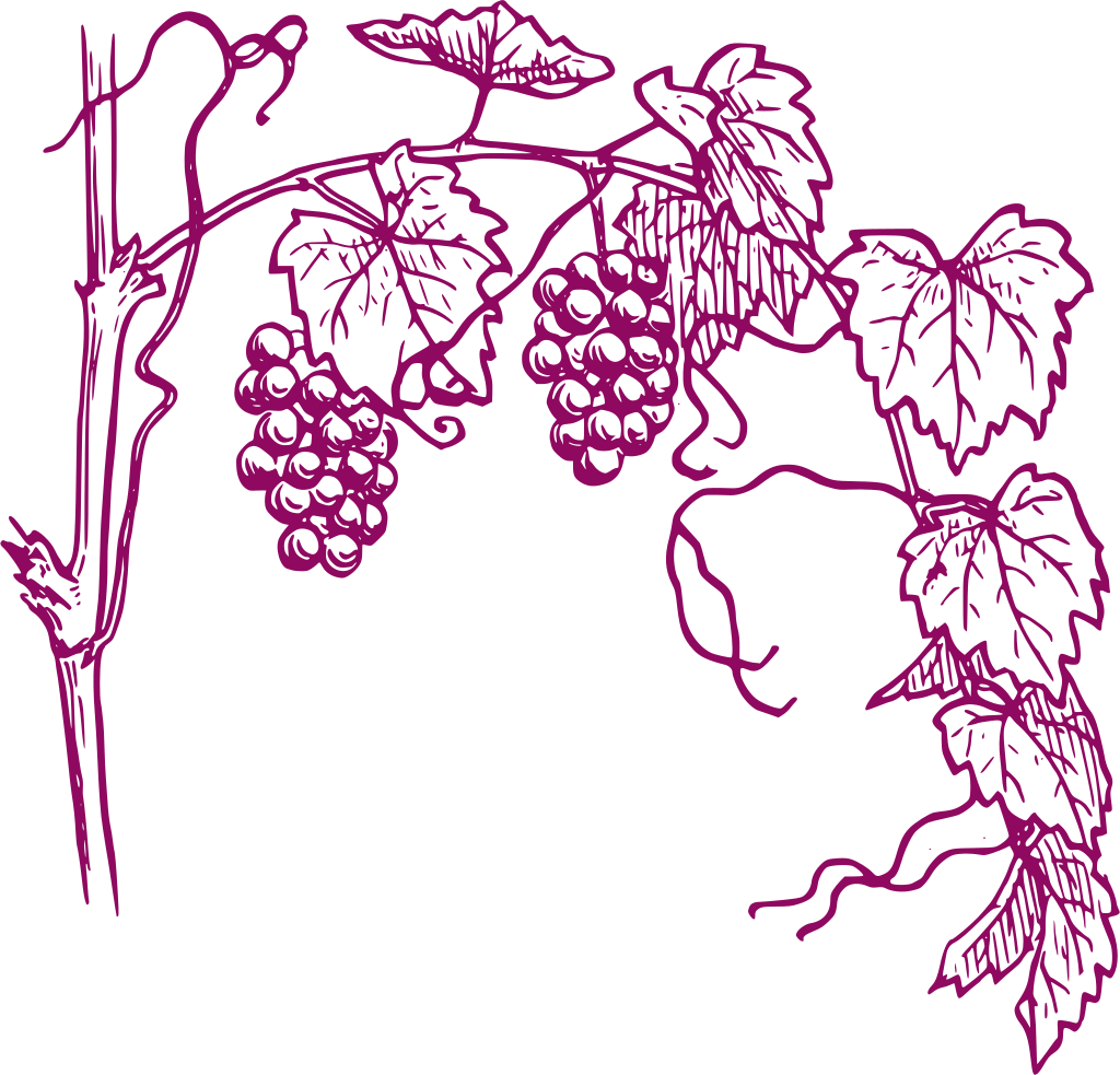 Chambre d'hôtes régions beaujolaise, mâconnaise et lyonnaise