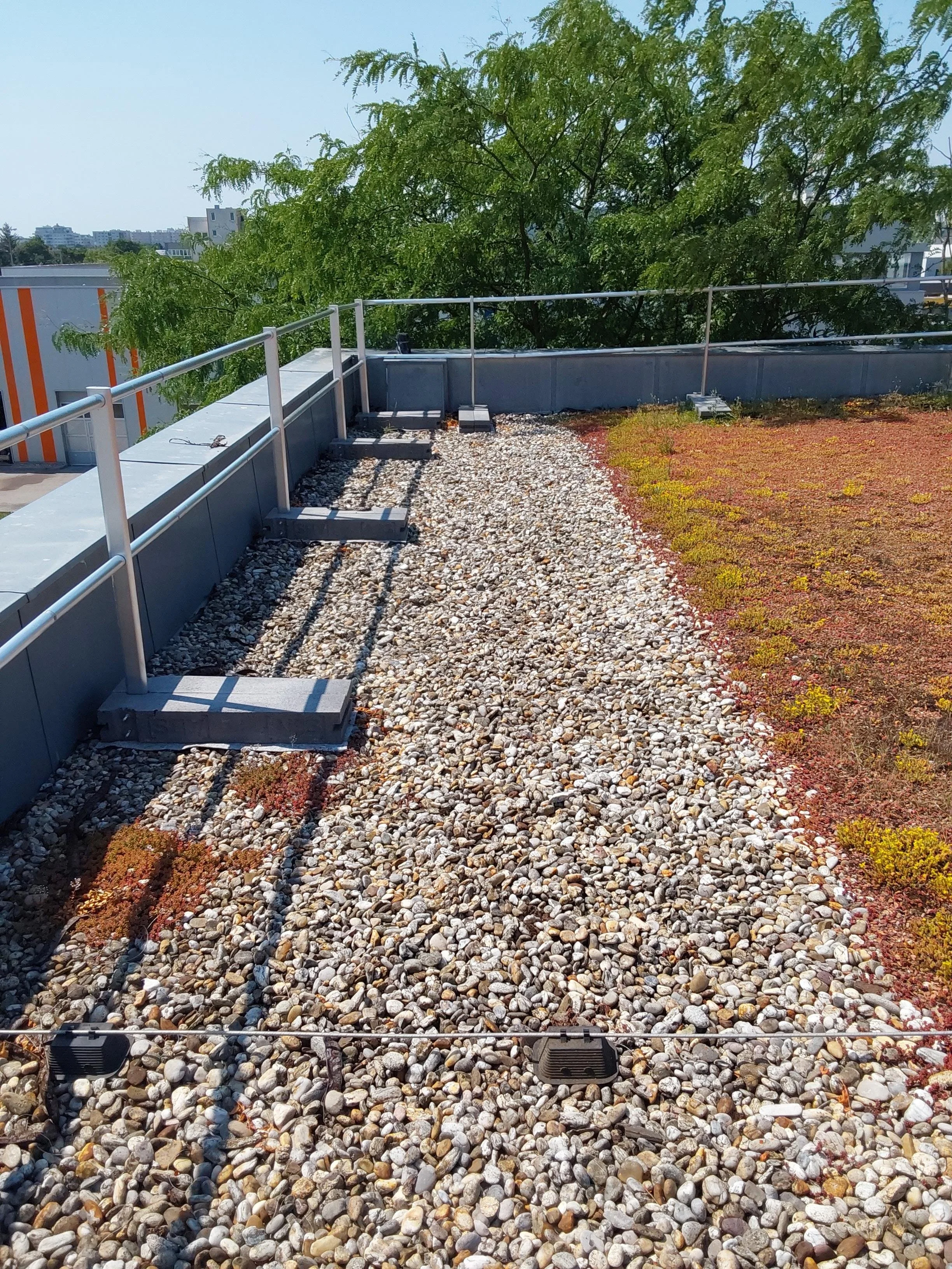 Dachabsturzsicherung auf einem Flachdach