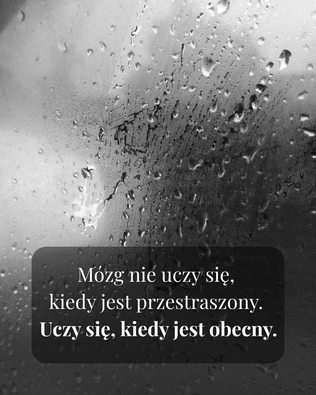 Krople na szybie jako symbol przeciążenia w nauce języka obcego.