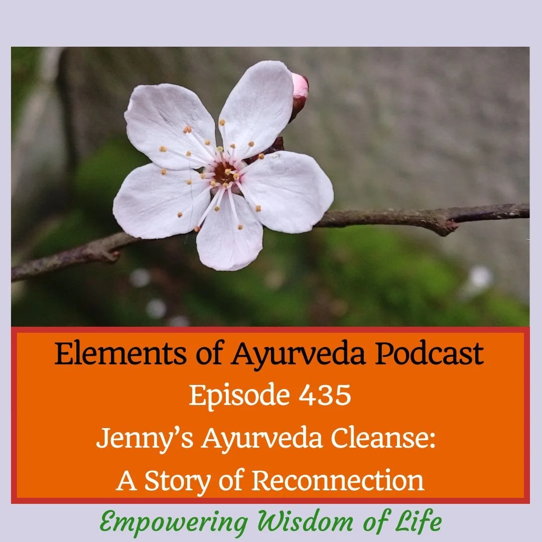 Episode 435: Jenny’s Ayurveda Cleanse: A Story of Reconnection