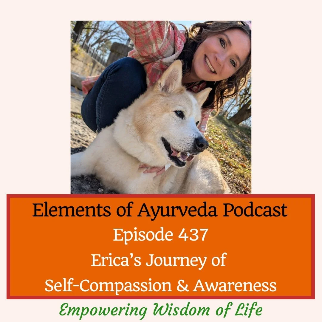 Episode 437: Erica’s Journey of Self-Compassion and Awareness