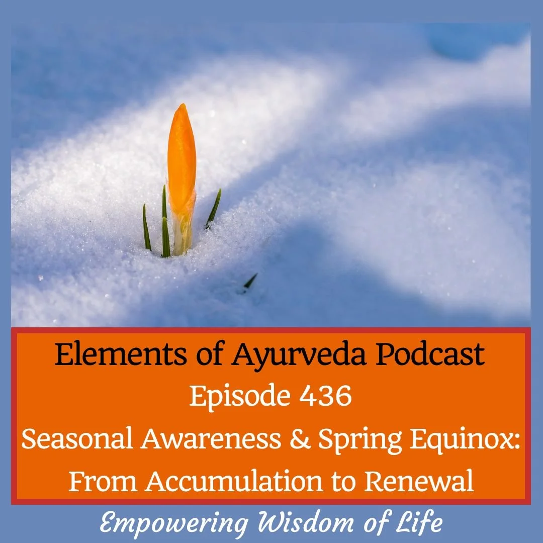 Episode 436: Seasonal Awareness &amp; Spring Equinox: From Accumulation to Renewal