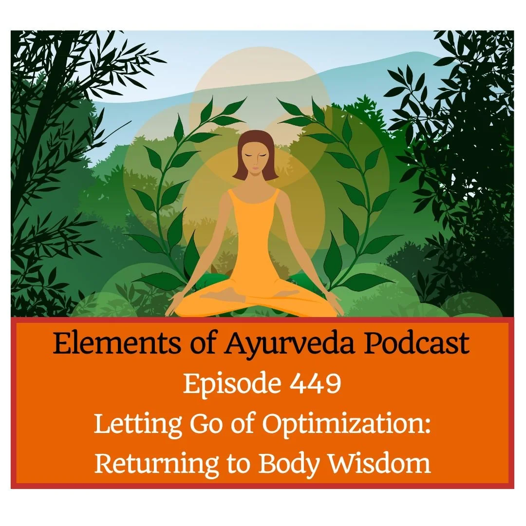 Episode 449: Letting Go of Optimization: Returning to Body Wisdom 