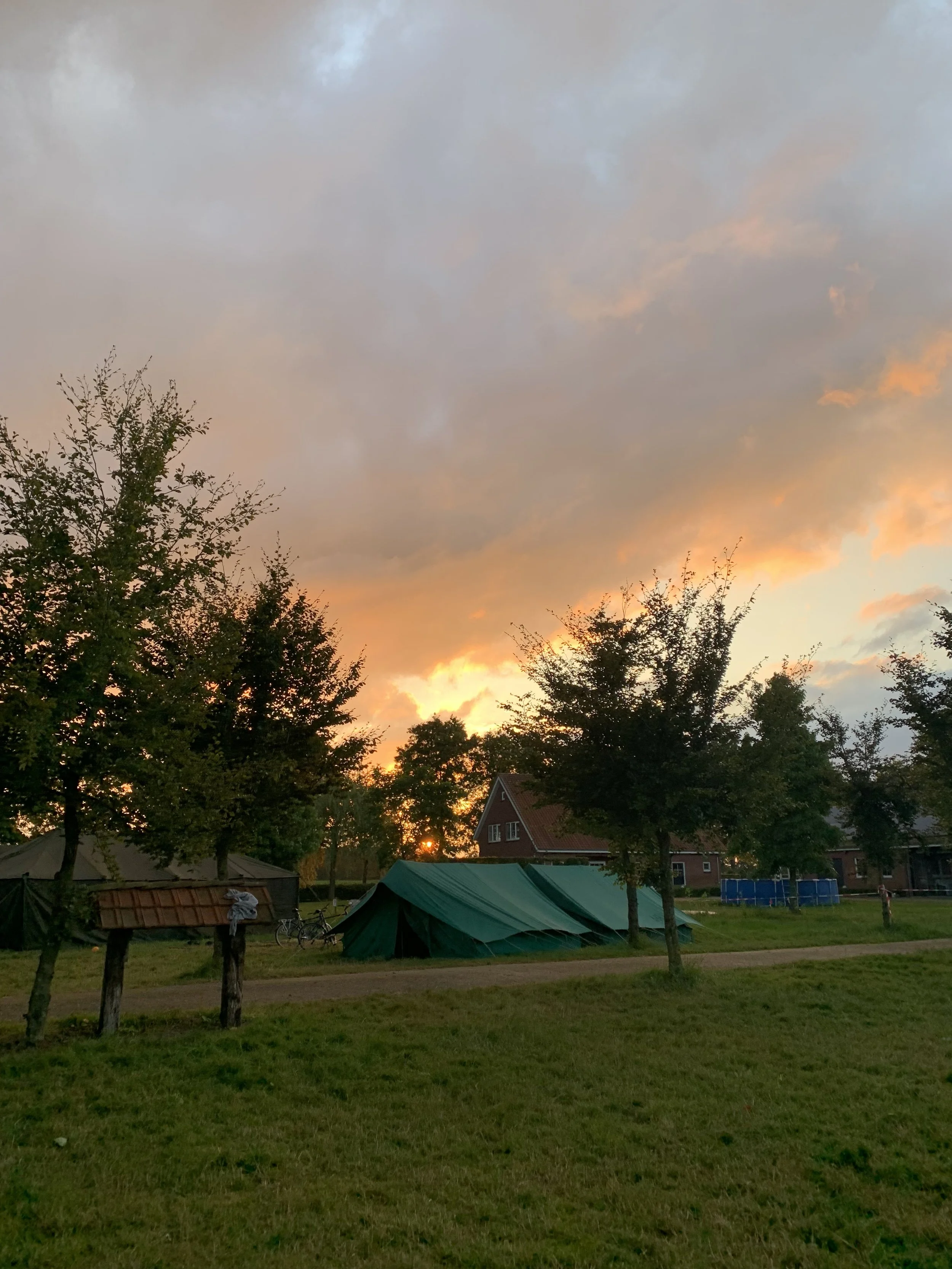 IMG_3367.jpeg