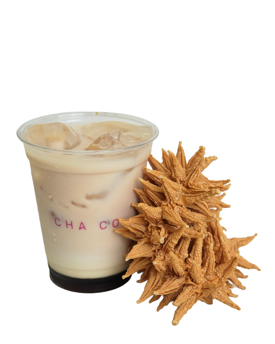 GULA AREN