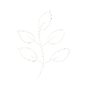 nature 1 (5).png